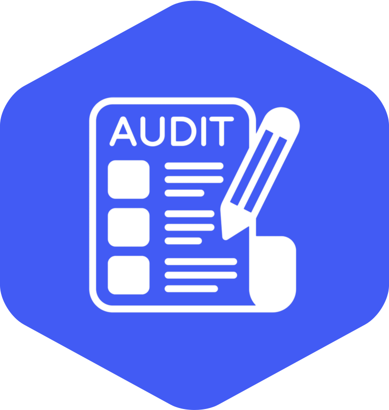Nano Cyber IS & IT Audit icon